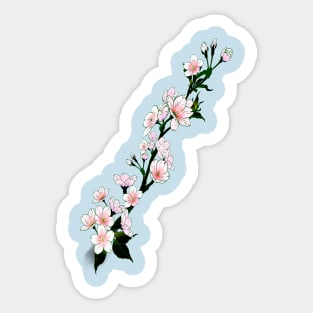 Hanami: spring is the cherry blossom season. By Blacklinesw9 Sticker